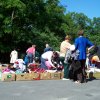 kpek 2011.06.25.kipakols  rnks 019